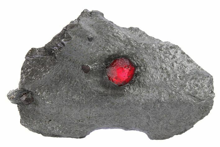 Red Embers Garnet in Graphite - Massachusetts #272758
